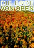 Die Erde von oben: Der Wald