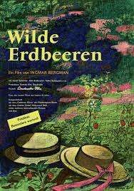 Wilde Dating-Websites